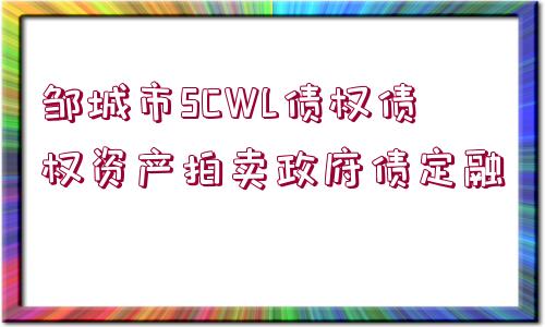 鄒城市SCWL債權(quán)債權(quán)資產(chǎn)拍賣政府債定融