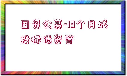 國資公募-13個月城投標債資管