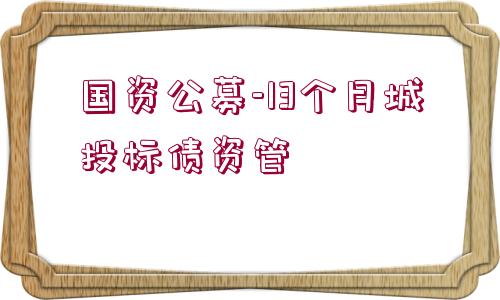 國(guó)資公募-13個(gè)月城投標(biāo)債資管