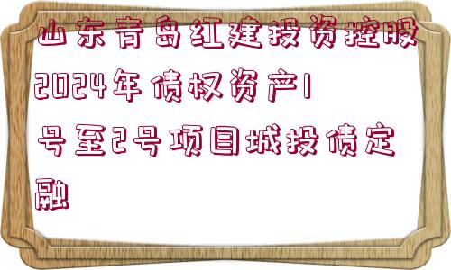 山東青島紅建投資控股2024年債權(quán)資產(chǎn)1號至2號項目城投債定融