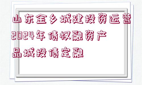 山東金鄉(xiāng)城建投資運營2024年債權(quán)融資產(chǎn)品城投債定融