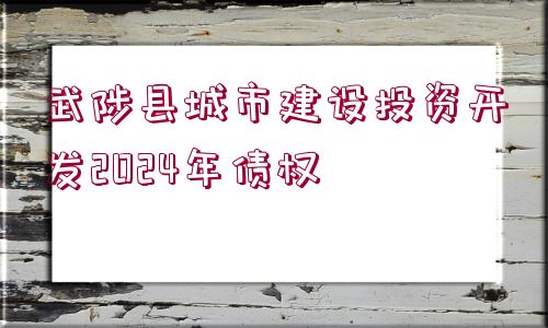 武陟縣城市建設(shè)投資開發(fā)2024年債權(quán)