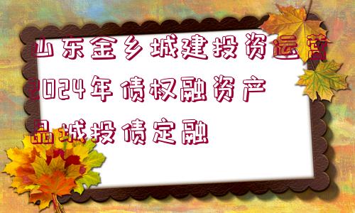 山東金鄉(xiāng)城建投資運營2024年債權(quán)融資產(chǎn)品城投債定融