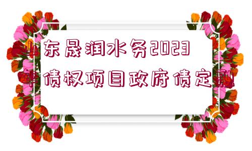 山東晟潤水務2023年債權項目政府債定融