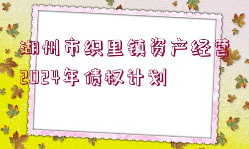 湖州市織里鎮(zhèn)資產(chǎn)經(jīng)營2024年債權(quán)計(jì)劃