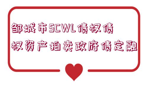 鄒城市SCWL債權債權資產(chǎn)拍賣政府債定融