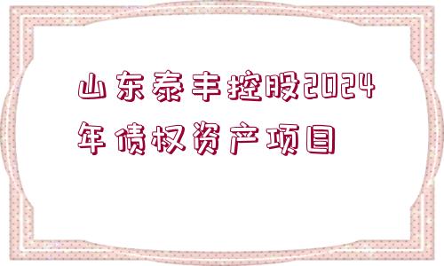 山東泰豐控股2024年債權資產項目