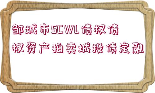 鄒城市SCWL債權債權資產拍賣城投債定融