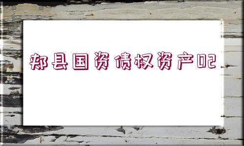 郟縣國(guó)資債權(quán)資產(chǎn)02