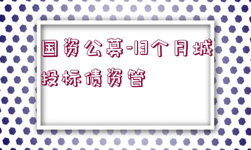 國資公募-13個月城投標(biāo)債資管