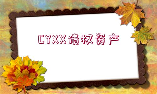 CYXX債權(quán)資產(chǎn)