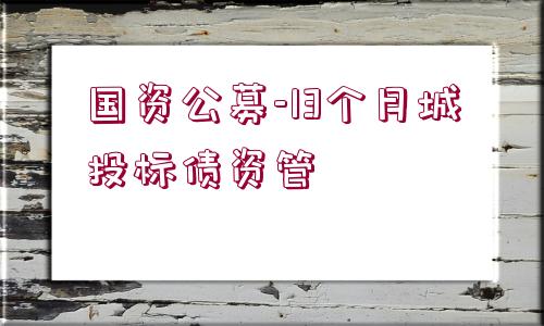 國(guó)資公募-13個(gè)月城投標(biāo)債資管