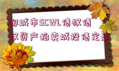 鄒城市SCWL債權(quán)債權(quán)資產(chǎn)拍賣城投債定融