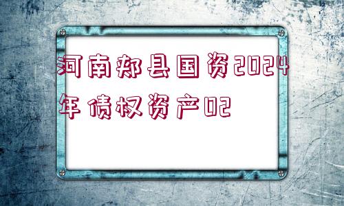 河南郟縣國(guó)資2024年債權(quán)資產(chǎn)02