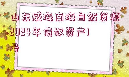 山東威海南海自然資源2024年債權資產(chǎn)1號