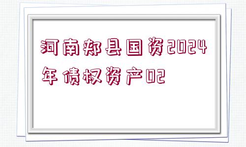 河南郟縣國(guó)資2024年債權(quán)資產(chǎn)02