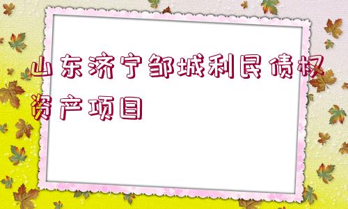 山東濟寧鄒城利民債權(quán)資產(chǎn)項目