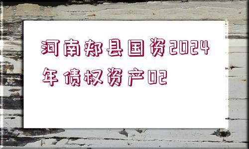 河南郟縣國資2024年債權資產02