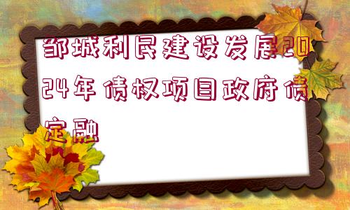 鄒城利民建設(shè)發(fā)展2024年債權(quán)項(xiàng)目政府債定融