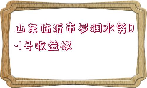 山東臨沂市羅潤(rùn)水務(wù)D-1號(hào)收益權(quán)