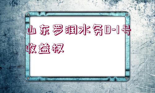 山東羅潤水務(wù)D-1號收益權(quán)