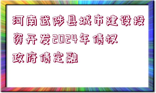 河南武陟縣城市建設(shè)投資開發(fā)2024年債權(quán)政府債定融