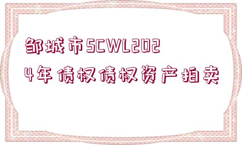 鄒城市SCWL2024年債權債權資產拍賣