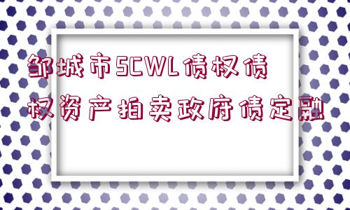 鄒城市SCWL債權(quán)債權(quán)資產(chǎn)拍賣(mài)政府債定融