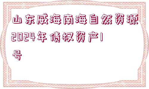 山東威海南海自然資源2024年債權(quán)資產(chǎn)1號(hào)