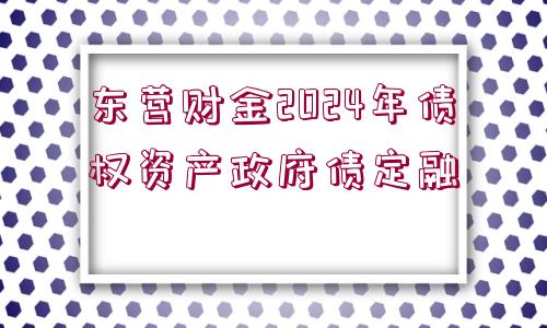 東營財(cái)金2024年債權(quán)資產(chǎn)政府債定融