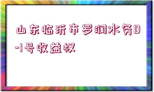 山東臨沂市羅潤(rùn)水務(wù)D-1號(hào)收益權(quán)