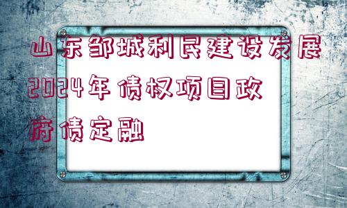 山東鄒城利民建設(shè)發(fā)展2024年債權(quán)項(xiàng)目政府債定融