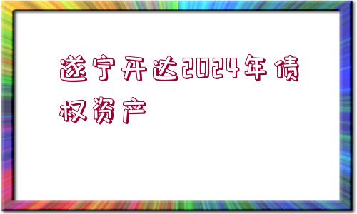 遂寧開達2024年債權資產