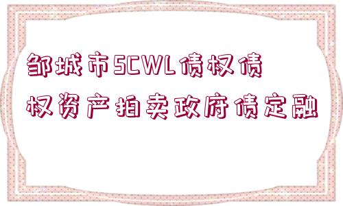 鄒城市SCWL債權(quán)債權(quán)資產(chǎn)拍賣政府債定融