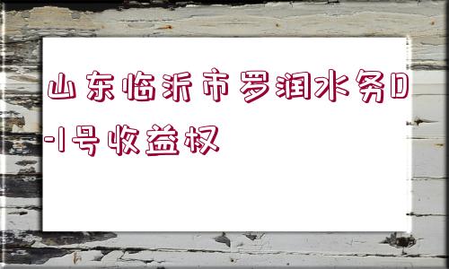 山東臨沂市羅潤水務(wù)D-1號收益權(quán)