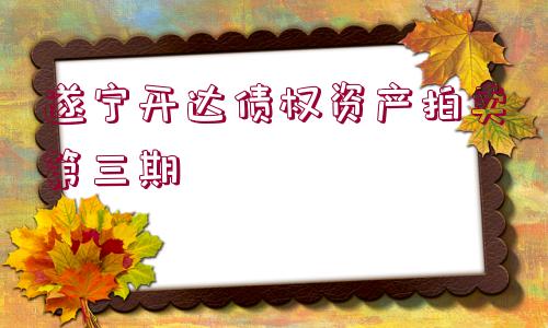 遂寧開達(dá)債權(quán)資產(chǎn)拍賣第三期