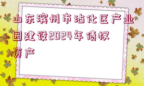 山東濱州市沾化區(qū)產業(yè)園建設2024年債權資產