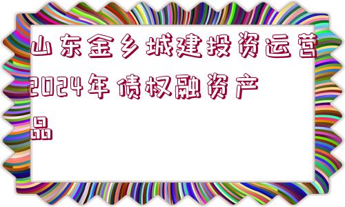 山東金鄉(xiāng)城建投資運營2024年債權(quán)融資產(chǎn)品