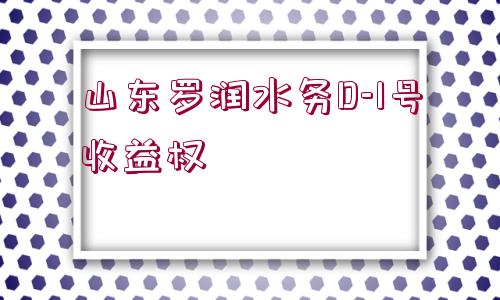 山東羅潤水務(wù)D-1號收益權(quán)