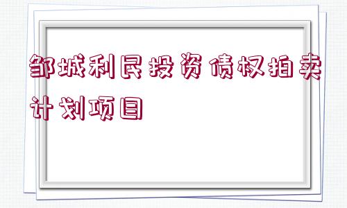 鄒城利民投資債權(quán)拍賣計劃項目