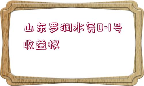 山東羅潤水務(wù)D-1號收益權(quán)