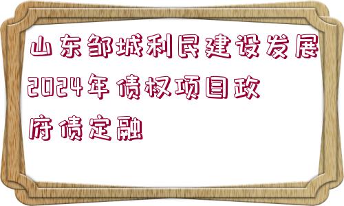 山東鄒城利民建設(shè)發(fā)展2024年債權(quán)項(xiàng)目政府債定融