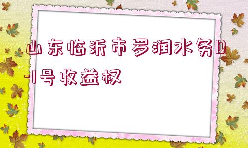 山東臨沂市羅潤水務(wù)D-1號(hào)收益權(quán)