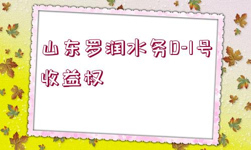 山東羅潤(rùn)水務(wù)D-1號(hào)收益權(quán)