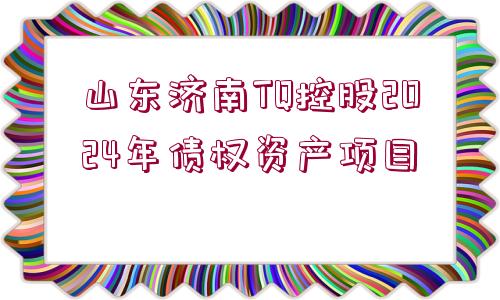 山東濟(jì)南TQ控股2024年債權(quán)資產(chǎn)項(xiàng)目