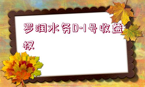 羅潤(rùn)水務(wù)D-1號(hào)收益權(quán)