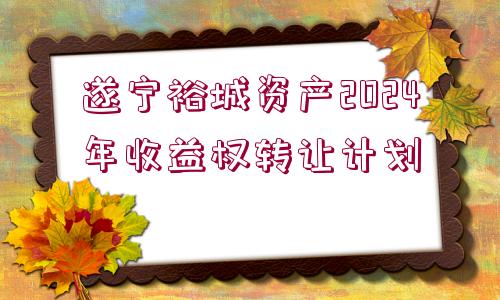 遂寧裕城資產(chǎn)2024年收益權(quán)轉(zhuǎn)讓計(jì)劃