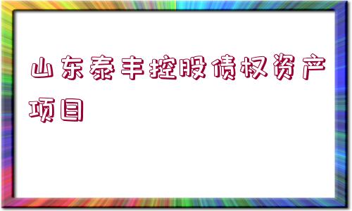 山東泰豐控股債權資產項目