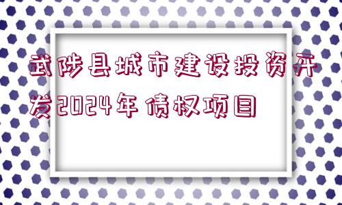 武陟縣城市建設(shè)投資開(kāi)發(fā)2024年債權(quán)項(xiàng)目