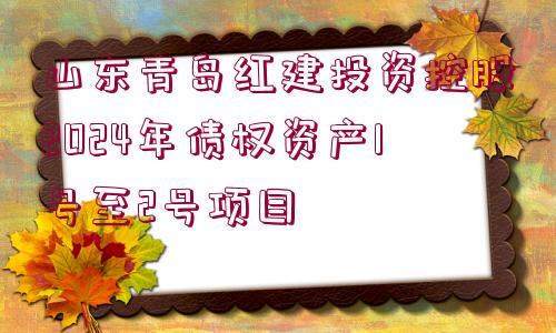 山東青島紅建投資控股2024年債權(quán)資產(chǎn)1號至2號項(xiàng)目